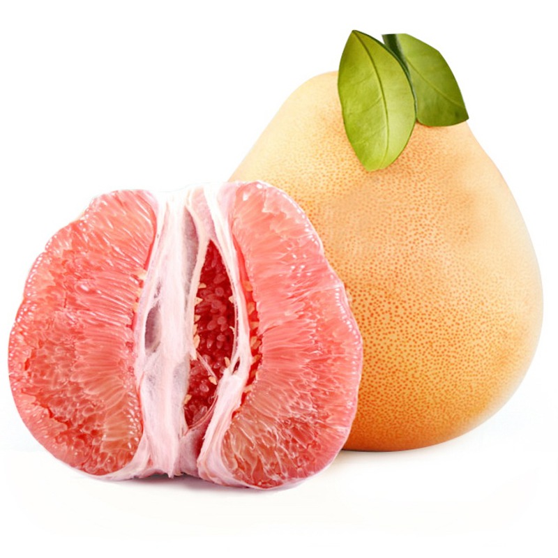 三红蜜柚高效种植技术